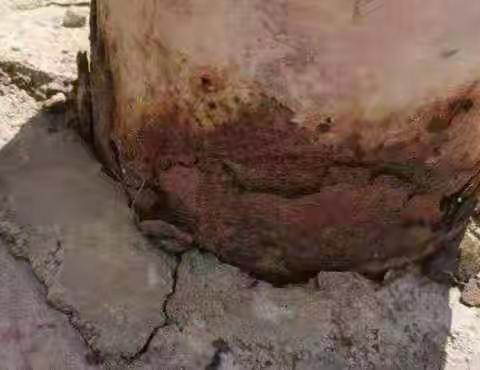 机电维护确保疫情防控与生产经营两不误