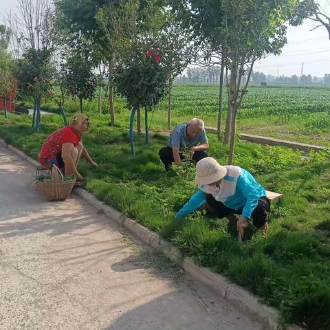 环境整治，我们一直在行动
