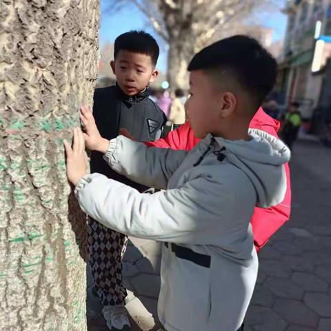 《初春的大树》——北华翰林幼儿园大一班