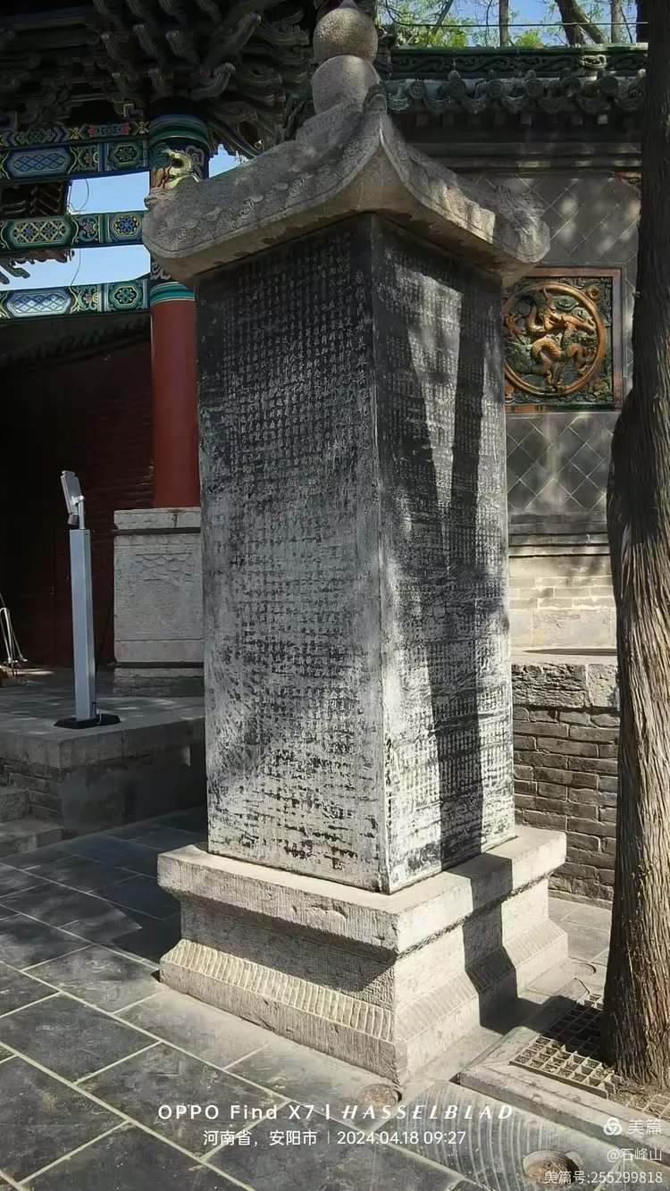 岳飞为什么被赶出武庙