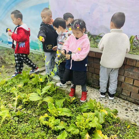 音美幼儿园的春天