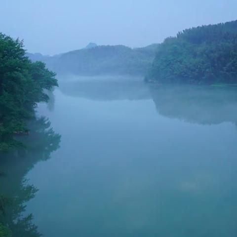 帅黄在高椅岭