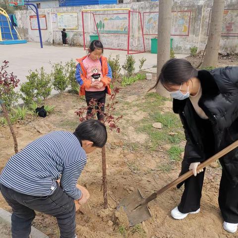 落实“双减”在行动爱绿植树迎春光 杜寨小学植树活动