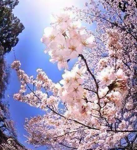 丰富多彩的寒假生活-崔召中学七年级寒假作业展评