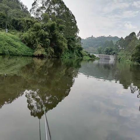 钓叟杂诗(一)淡水杂咏