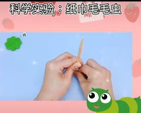 《科学小实验 ，宅家学不停》——东美中心小学附属幼儿园