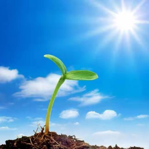 种子的力量——清苑区骨干种子教师提升培训第十天（数学组）