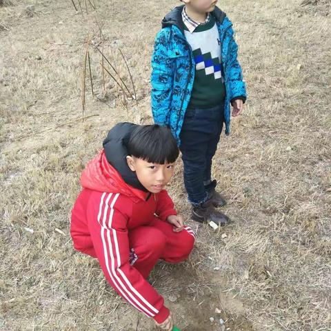 文北小学二（3）班 王宥恩“你我携手添绿意植树活动”美篇