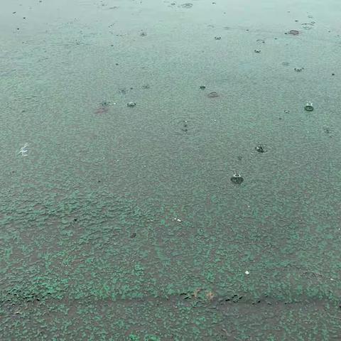 春分时节的雨