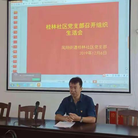 桂林社区党支部召开专题组织生活会
