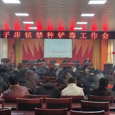 濮阳县子岸镇:坚决打好禁种铲毒攻坚战