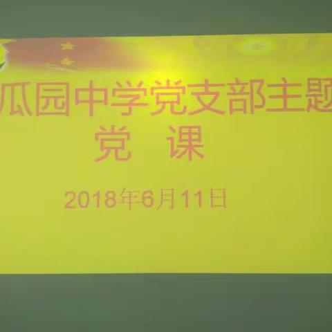 黄瓜园中学党支部主题党课活动