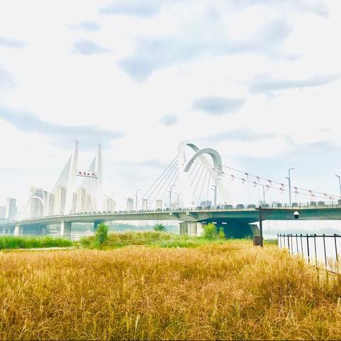 ＂小江南＂汉中湿地公园掠影