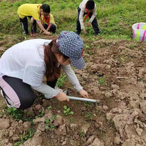 2021年6月2日，油九4.2班劳动实践