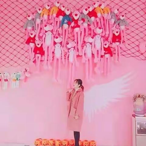 芙蓉掠影，佳丽惊鸿。