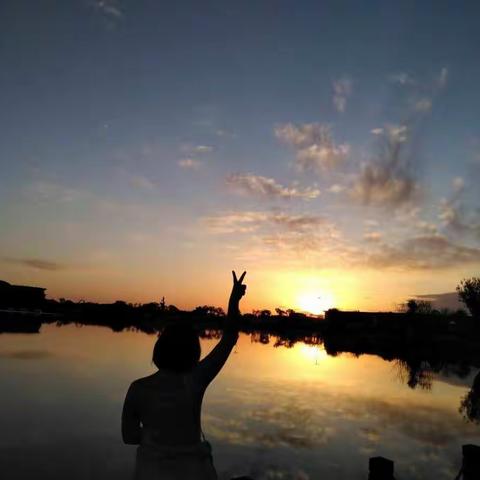 碧桂园一日游（副本）（副本）