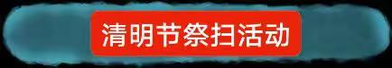 清生命之感 明生命之礼——北塬小学中心校清明节系列活动纪实