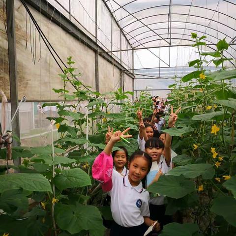 微风轻拂面，童心赴春约——24中附小春季研学实践活动