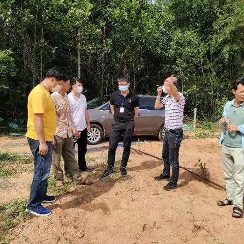 秀英区委组织部莅临东山镇东升乡村振兴油茶产业园考察调研