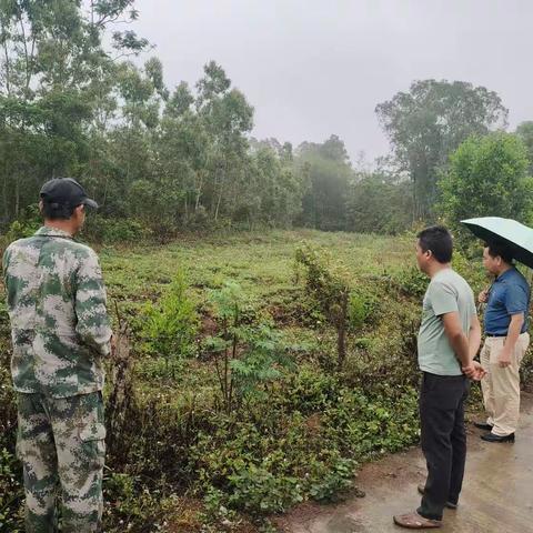 心系“三农”常走访、瓜菜丰收甜民心 —— 东升村驻村工作队与帮扶联系人走访工作纪实