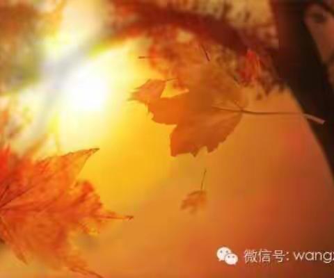 五四大街支行的员工们认真、热情、奋进！