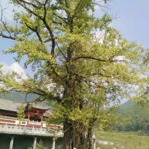 南惹 温汤 宣风三宝园开心一日游