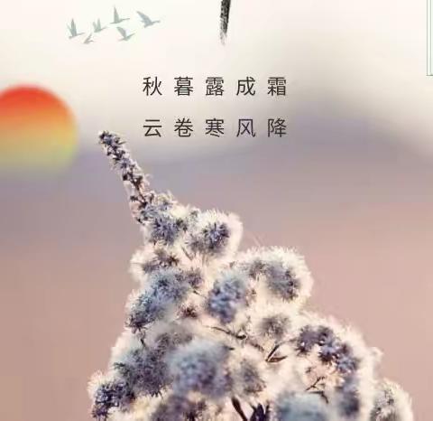 怡景花城周报(10.17-10.23)