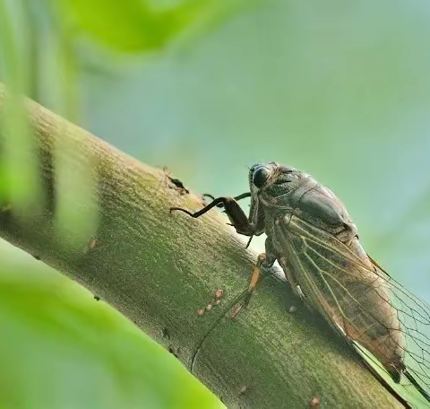 这个周末，这样度过