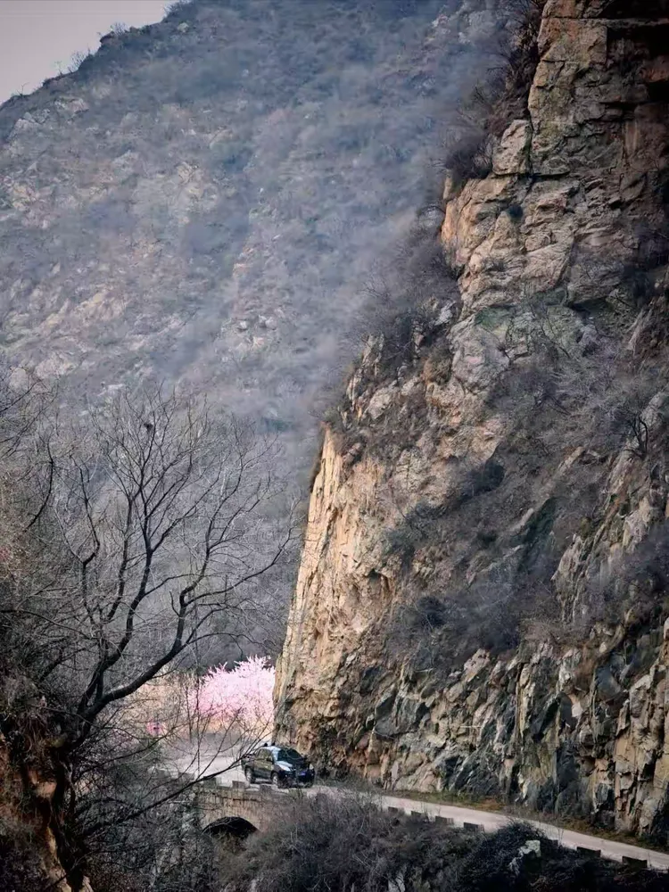 山谷里有你的歌