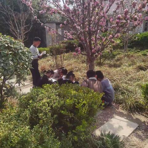 我们的实践活动