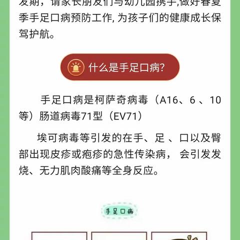 【卫生保健】预防先行，守护健康——丰泽幼儿园预防手足口病知识宣传