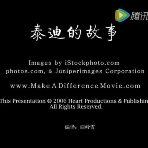 泰迪的故事