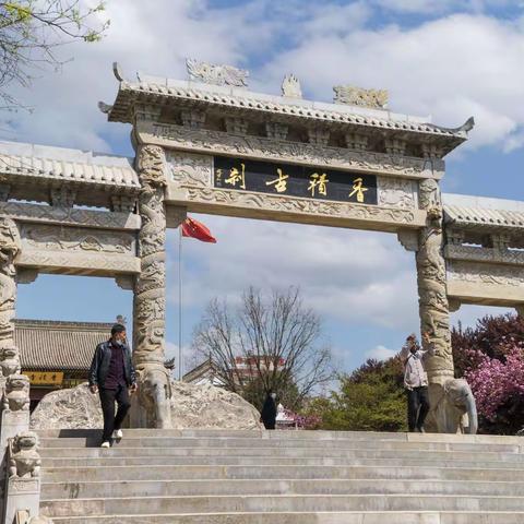 古都樱花季（二）：香积寺樱花