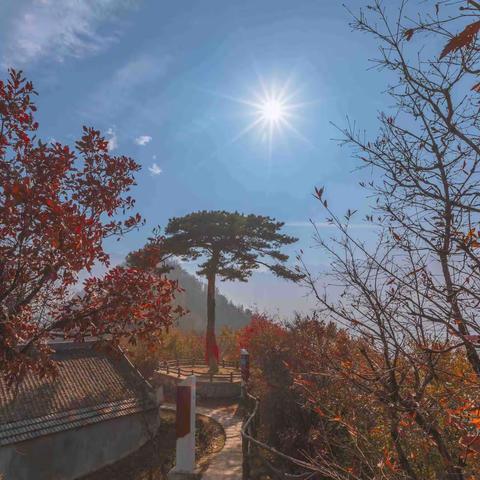 初冬登翠华山随感