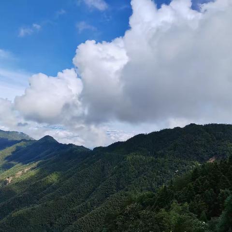 学习《未成年人保护法》主题班会