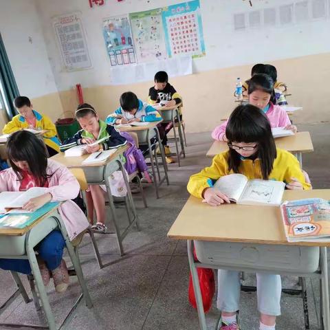 段屋乡康梁小学五年级阅读课