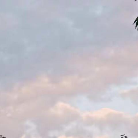 2022年总结，难忘的20件事和对2023年期待