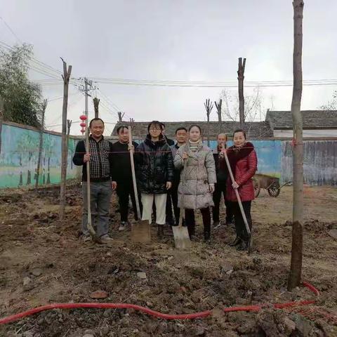 高楼小学植树活动