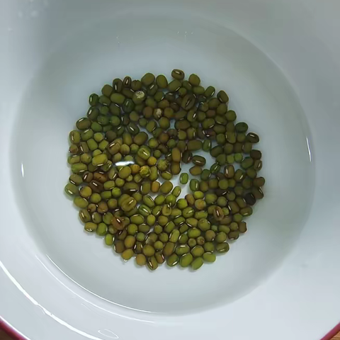 豆芽成长记——赵欣妍