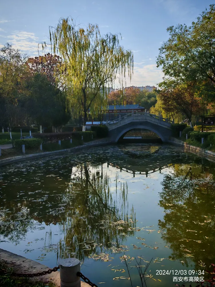 初冬,游高陵水景公园