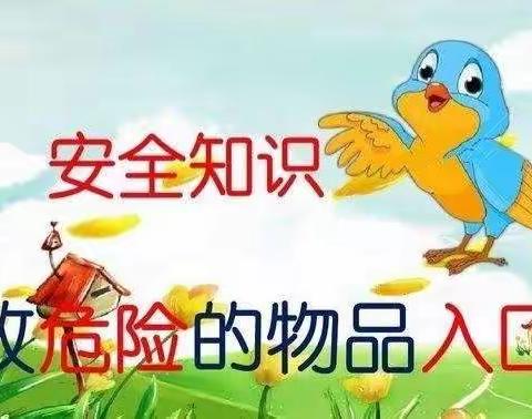 小小异物危害大，安全防范很重要——丽都幼儿园  苗二班  安全教育主题活动