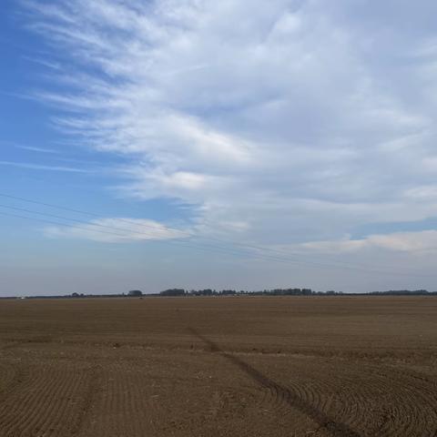 麦种欲出，保墒齐苗