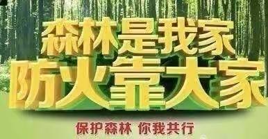 森林防火，你我同行——弥渡县红岩镇竹园完全小学开展“森林防火”主题系列活动