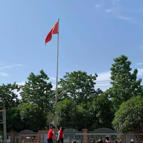 实验幼儿园🏫 🌸中二班 🌻快乐的一周🌷