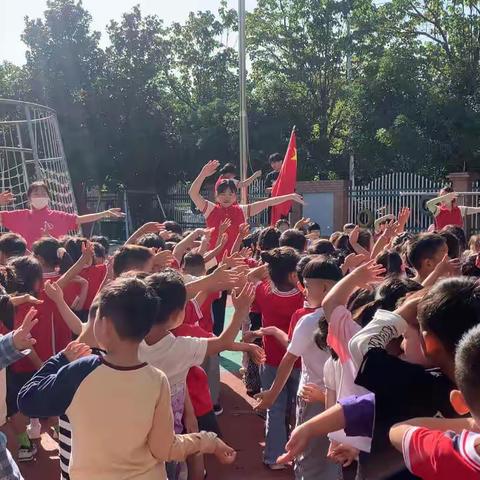 实验幼儿园🏫 🌸大二班 🌻快乐的一周🌷