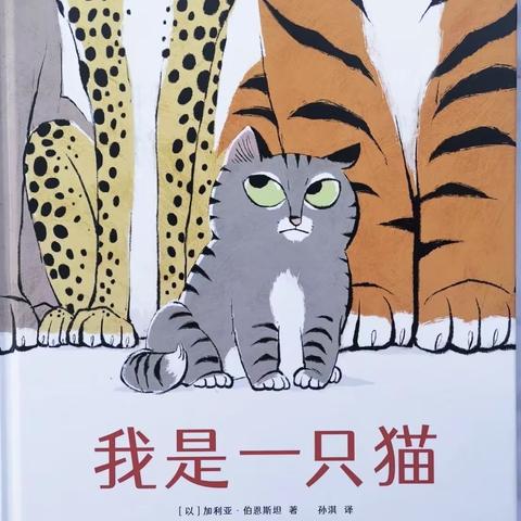 沛县机关幼儿园第一分园中班组绘本故事《我只是一只猫》