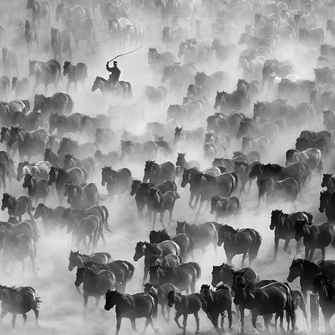 用光影讴歌赞美新时代