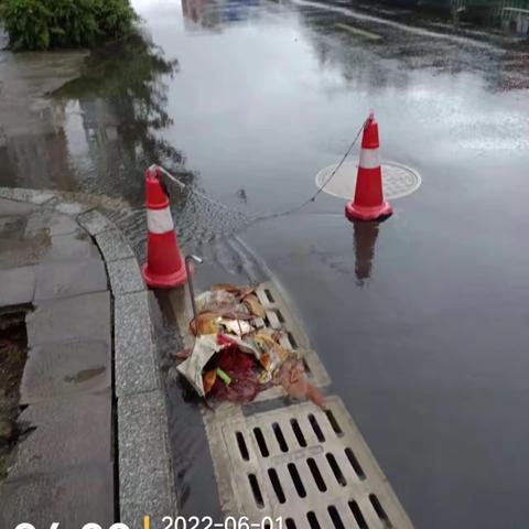 雨中的守护者，城市的清道夫