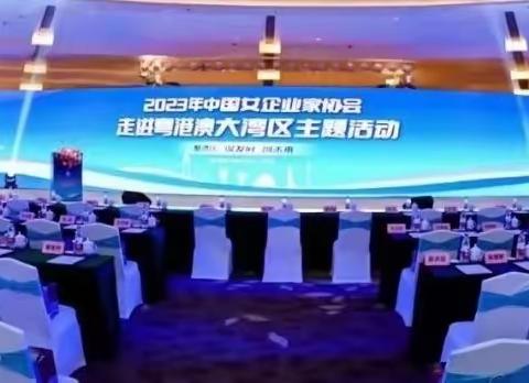 聚湾区 谋发展 创未来