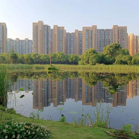 随拍苏州西圆融街生态景观绿地